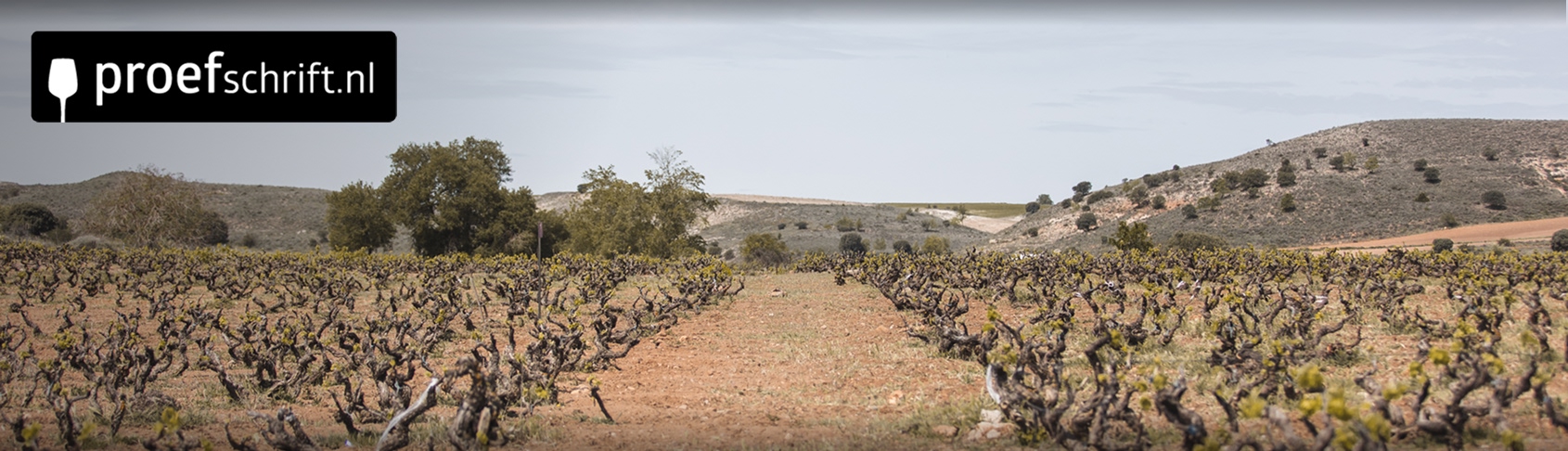 La Hormiga uit Ribera del Duero: Rode Wijn van het Jaar 2025!