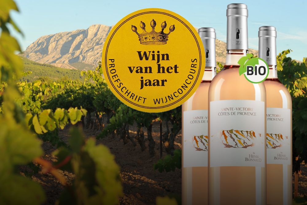 Winnaar op het 35e Proefschrift Wijnconcours: Rosé van het jaar 2023