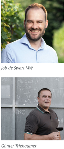 Job de Swart