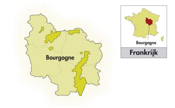 Domaine Auvigue